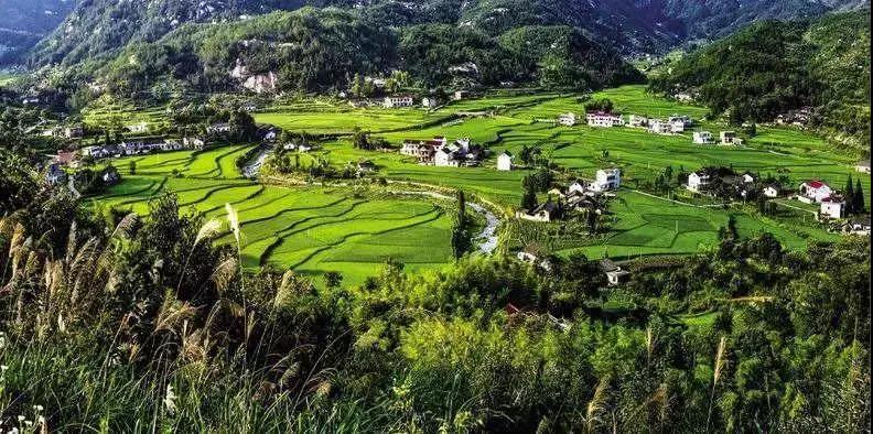 農(nóng)旅康養(yǎng)旅游項(xiàng)目，策劃才是靈魂！
